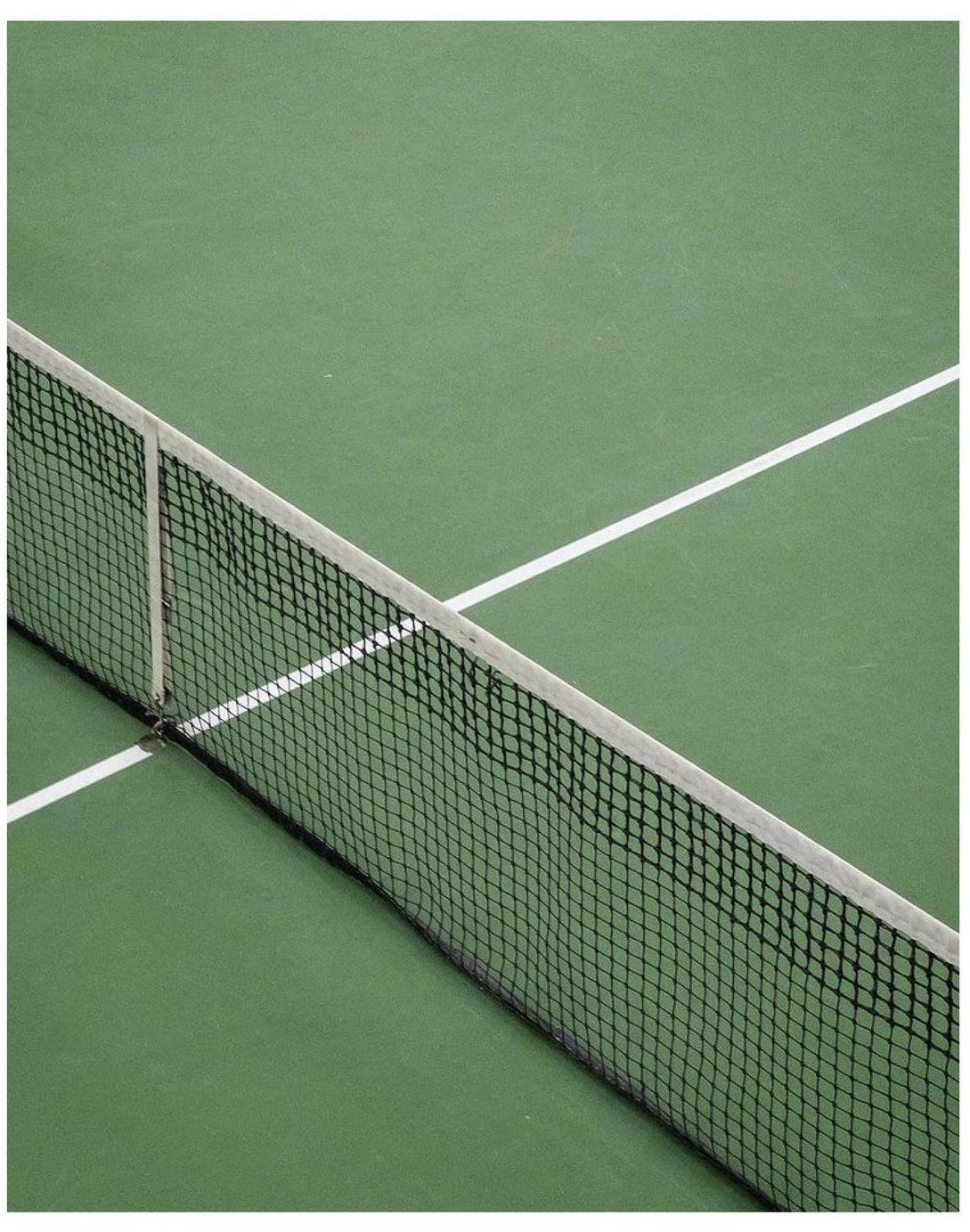 Tenis